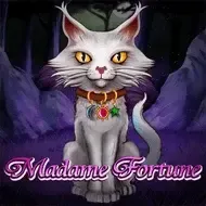 Madame FortuneCaleta game cover